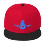 DBS Logo Aqua Snapback Hat