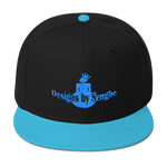 DBS Logo Aqua Snapback Hat